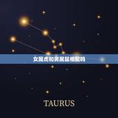 女属虎和男属鼠相配吗，属鼠男生和属虎女生婚姻配吗