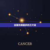 全国光棍最多的三大省 中国哪个省单身汉最多