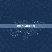 芯在五行中属什么，慧字五行属什么