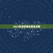 2023年清宫表生男生女图，清宫表2023生男生女准确吗？
