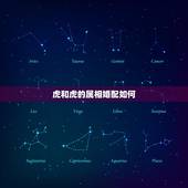 虎和虎的属相婚配如何，属狗和属虎结婚属相相配么？