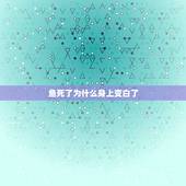 鱼死了为什么身上变白了，鱼死后一天发皮是怎么回事