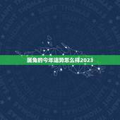属兔的今年运势怎么样2023，兔今年的运势如何2023
