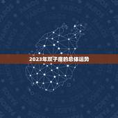 双子座运势查询2023(探寻未来预知命运)