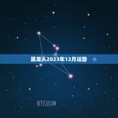 属龙人2023年12月运势