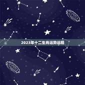 2023年十二生肖运势运程 2023年桃花运最旺生肖
