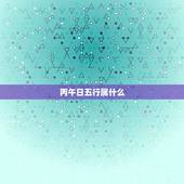 丙午日五行属什么，2017年丁酉年五行属什么 20