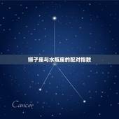 狮子座与水瓶座的配对指数，狮子座和水瓶座的爱情