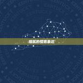 属蛇处女座女人的特点(细腻主义者的性格特征)