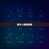 属牛人婚配属相，属牛的和什么属相最配？