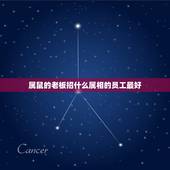 属鼠的老板招什么属相的员工最好，属鼠之人遇什么属相老板比较好？