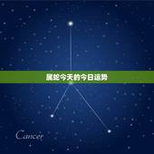 属蛇今天的今日运势，生肖属蛇的今日运势