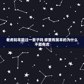 老虎和羊能过一辈子吗 家里有属羊的为什么不能有虎