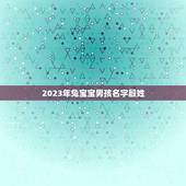 2023年兔宝宝男孩名字殷姓(殷姓男孩名字推荐)