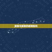 属猴与属猴的能婚配吗，属猴和属猴的婚配如何