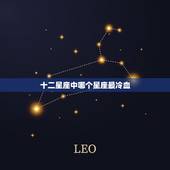 十二星座中哪个星座最冷血，最冷漠高高在上星座生肖