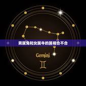 男属兔和女属牛的属相合不合，男1985属牛女1987属兔在一起合不合