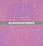 黑心塔罗师处女座2月感情运势