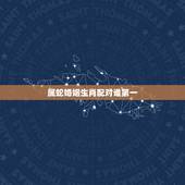 属蛇婚姻生肖配对谁第一，属蛇的最佳配偶 属蛇的命运性格 属蛇的和什么属