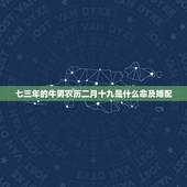 七三年的牛男农历二月十九是什么命及婚配，我一九七三年农历二月十九什么星