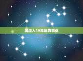 属虎人19年运势事业