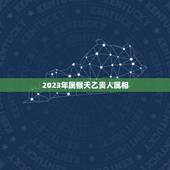 2023年属猴天乙贵人属相，属猴人在2023年的全年运势