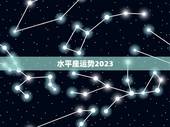 水平座运势2023