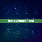 猴与牛相配的婚姻如何好不好呢(讨论星座学派和现实生活的区别)