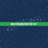 属牛几月出生大富大贵1997，1997年的属牛命运