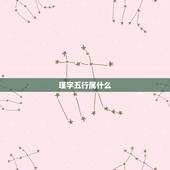 瑾字五行属什么，瑾字五行属什么