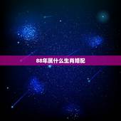 88年属什么生肖婚配，88年属龙的和什么属相最配？