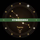 双子座男和什么女相配(星座配对指南)