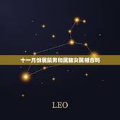 十一月份属鼠男和属猪女属相合吗，属猪男和属鼠女