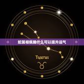 蛇属相佩戴什么可以提升运气，蛇人带什么东西会有财运来