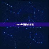 1995年属狗的婚配，男属猪95年生人女属狗95年1月生人婚配如何