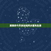 属猴的今天财运如何水墨先生居，1968年女属猴今年财运如何