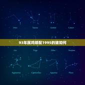 93年属鸡婚配1995的猪如何，1993年的属鸡男和1995年的属猪女