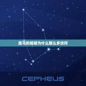 属马的婚姻为什么那么多坎坷，属马的和属马的婚姻怎样