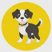 子丑寅卯十二生肖读法 视频讲解：十二生肖戌狗的读音