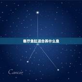 客厅鱼缸适合养什么鱼，鱼缸里养什么鱼好 鱼缸里什么鱼最好养