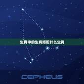 生肖申的生肖婚配什么生肖，十二生肖什么生肖与什么生肖最配……