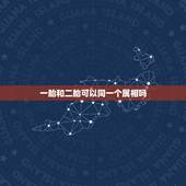 一胎和二胎可以同一个属相吗，生二胎属相？