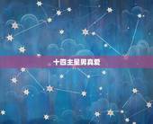 十四主星男真爱，十四主星详解