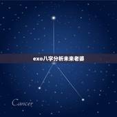 exo八字分析未来老婆，关于EXO成员的八字句子，