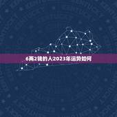 6两2钱的人2023年运势如何