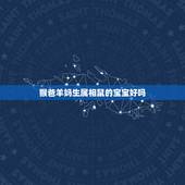 猴爸羊妈生属相鼠的宝宝好吗，属羊，母亲属猴，宝宝什么属相好