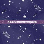 12星座谁最喜欢水瓶座(星座界的异类)