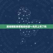 属相婚配表看看你和另一半对上号了吗，生肖配对查询表