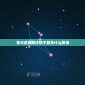 兔与虎结婚伴娘不能是什么属相，今年两个属兔结婚迎亲用什么属相，忌讳什么