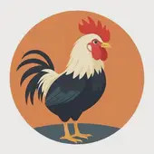 属鸡的年份有哪几年今年65岁了，65岁属鸡是哪年出生的